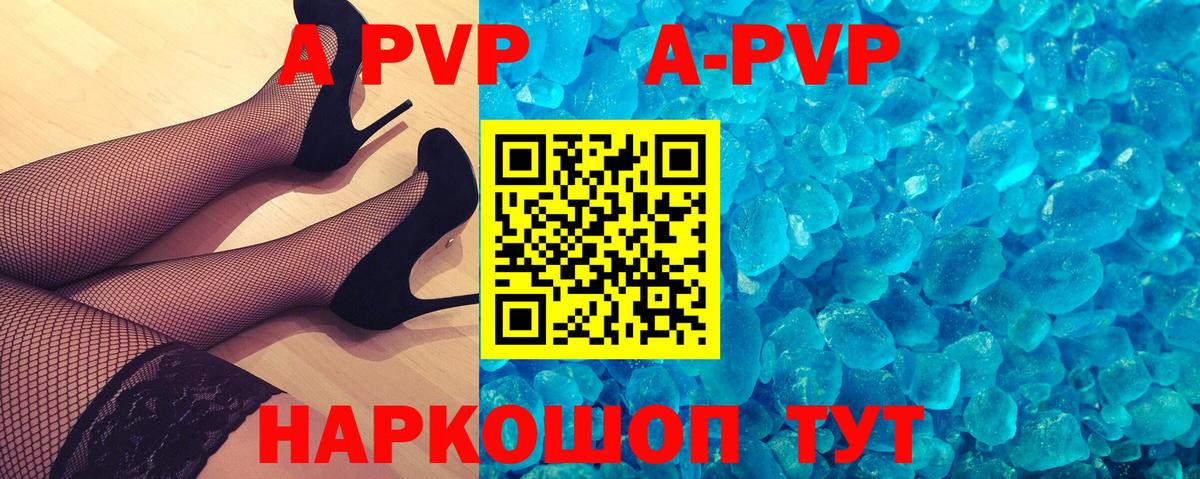 A PVP СК КРИС Зеленогорск