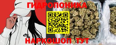 синтетический гашиш Кингисепп
