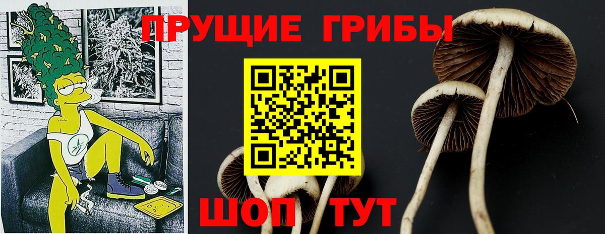 Галлюциногенные грибы Magic Shrooms  Галлюциногенные грибы Psilocybe  Вход с VPN  Зеленогорск 