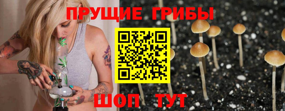 Галлюциногенные грибы Magic Shrooms Зеленогорск